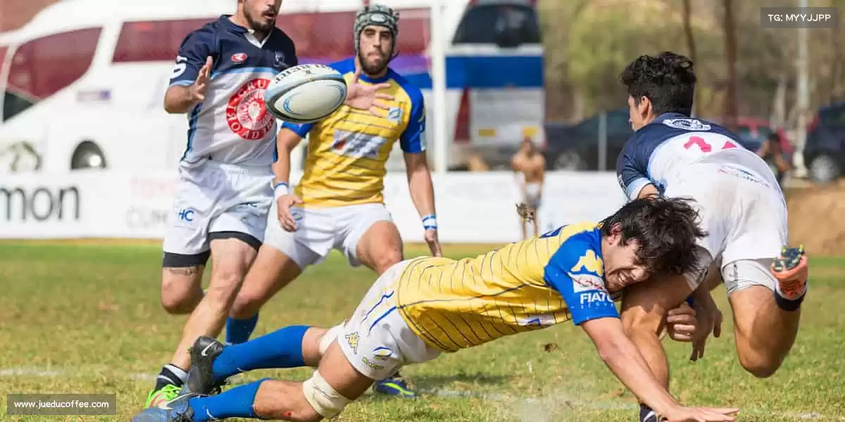 我们的品牌价值